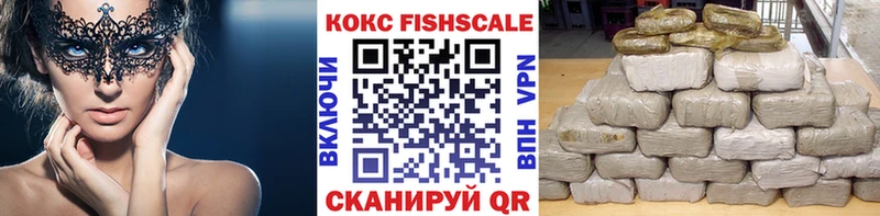 Кокаин FishScale  Ельня 