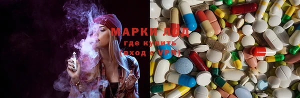 молекула духа Арсеньев