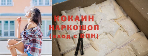 гашик Аркадак