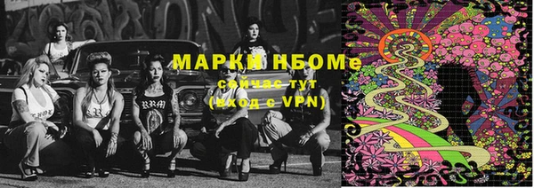 гашик Аркадак