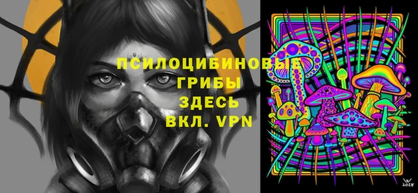 молекула духа Арсеньев