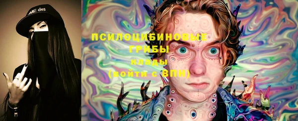 гашик Аркадак