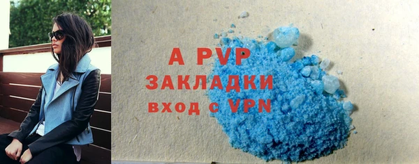 молекула духа Арсеньев