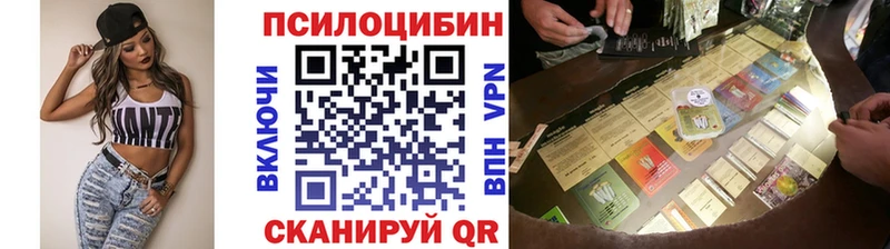 Псилоцибиновые грибы Cubensis  Ельня 